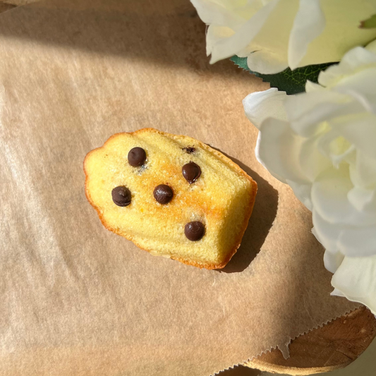 Madeleine chocolat
